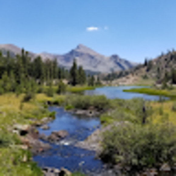 Meet your Posher, Taylor - Picture 1 of 1